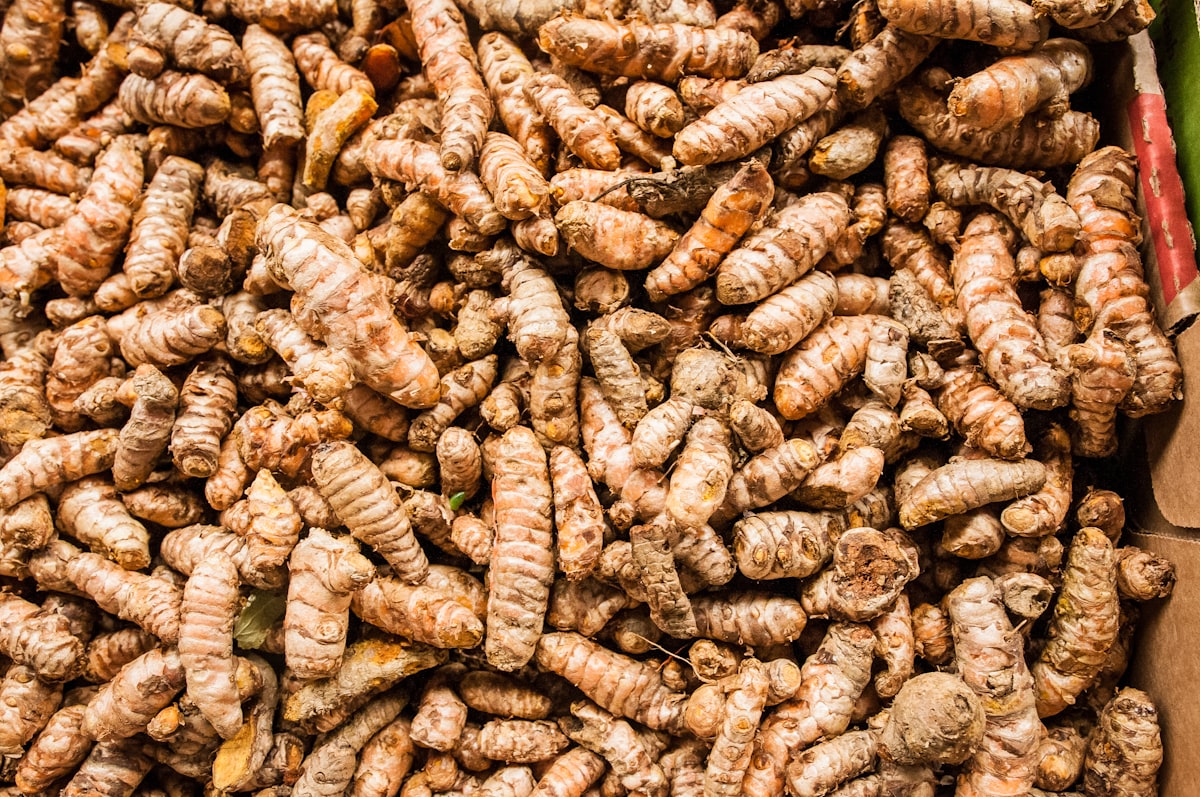 Fiber and gut health connection